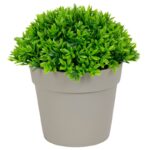 τεχνητό φυτό σε γλάστρα, διακοσμητικό τεχνητό φυτό, τεχνητό φυτό γραφείου, artificial plant pot, τεχνητά φυτά διακόσμησης, διακοσμητικό φυτό σπιτιού, τεχνητό φυτό 13cm, φυτό εσωτερικού χώρου τεχνητό, μοντέρνο τεχνητό φυτό, διακοσμητικό φυτό γραφείου.