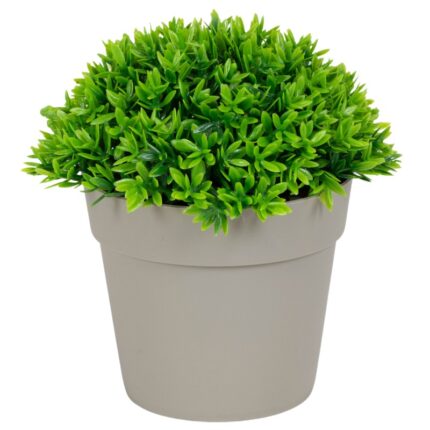 τεχνητό φυτό σε γλάστρα, διακοσμητικό τεχνητό φυτό, τεχνητό φυτό γραφείου, artificial plant pot, τεχνητά φυτά διακόσμησης, διακοσμητικό φυτό σπιτιού, τεχνητό φυτό 13cm, φυτό εσωτερικού χώρου τεχνητό, μοντέρνο τεχνητό φυτό, διακοσμητικό φυτό γραφείου.