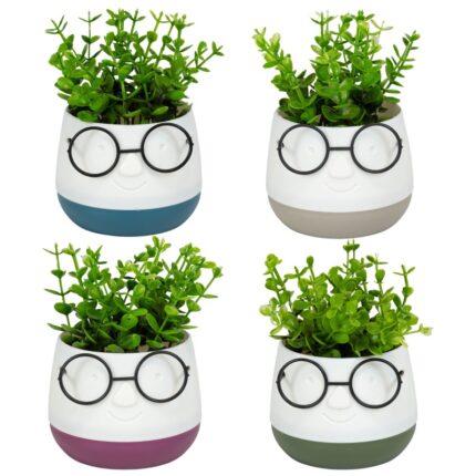 τεχνητό φυτό, τεχνητό φυτό σε γλαστράκι, face with glasses, διακοσμητικό φυτό, διακοσμητικό γραφείου, διακοσμητικό σπιτιού, γλαστράκι πρόσωπο, τεχνητό φυτό δώρο, μπομπονιέρα γάμου, μπομπονιέρα βάπτισης, μοντέρνο διακοσμητικό, 5206753045021
