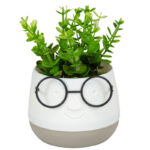Τεχνητό Φυτό Face with Glasses σε Γλαστράκι 10x13cm No45021 – Διακοσμητικό Φυτό για Σπίτι & Γραφείο 5206753045021 - Image 2