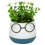 τεχνητό φυτό, τεχνητό φυτό σε γλαστράκι, face with glasses, διακοσμητικό φυτό, διακοσμητικό γραφείου, διακοσμητικό σπιτιού, γλαστράκι πρόσωπο, τεχνητό φυτό δώρο, μπομπονιέρα γάμου, μπομπονιέρα βάπτισης, μοντέρνο διακοσμητικό, 5206753045021