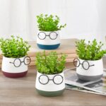 τεχνητό φυτό, τεχνητό φυτό σε γλαστράκι, face with glasses, διακοσμητικό φυτό, διακοσμητικό γραφείου, διακοσμητικό σπιτιού, γλαστράκι πρόσωπο, τεχνητό φυτό δώρο, μπομπονιέρα γάμου, μπομπονιέρα βάπτισης, μοντέρνο διακοσμητικό, 5206753045021