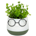 τεχνητό φυτό, τεχνητό φυτό σε γλαστράκι, face with glasses, διακοσμητικό φυτό, διακοσμητικό γραφείου, διακοσμητικό σπιτιού, γλαστράκι πρόσωπο, τεχνητό φυτό δώρο, μπομπονιέρα γάμου, μπομπονιέρα βάπτισης, μοντέρνο διακοσμητικό, 5206753045021
