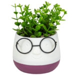 τεχνητό φυτό, τεχνητό φυτό σε γλαστράκι, face with glasses, διακοσμητικό φυτό, διακοσμητικό γραφείου, διακοσμητικό σπιτιού, γλαστράκι πρόσωπο, τεχνητό φυτό δώρο, μπομπονιέρα γάμου, μπομπονιέρα βάπτισης, μοντέρνο διακοσμητικό, 5206753045021