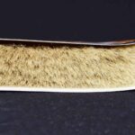 πινέλο πατρόγκα