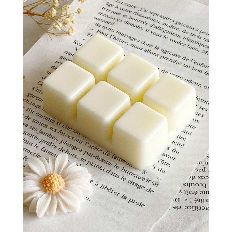 5206753051244 Αρωματικά Wax Melts 6 τεμαχίων (66g). Πλούσιο και μακράς διάρκειας άρωμα για κάθε χώρο. Ιδανικά για χρήση σε wax burner.