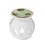 αρωματιστής για σπίτι