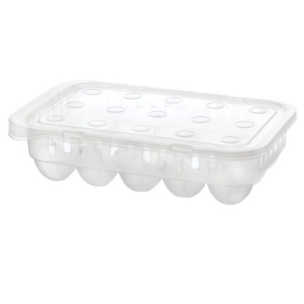 ΑΥΓΟΘΗΚΗ ΠΡΟΣΦΟΡΑ ΠΛΑΣΤΙΚΗ 15 ΘΕΣΕΩΝ ΜΕ ΚΑΠΑΚΙ No52876