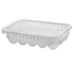 ΑΥΓΟΘΗΚΗ ΠΡΟΣΦΟΡΑ ΠΛΑΣΤΙΚΗ 15 ΘΕΣΕΩΝ ΜΕ ΚΑΠΑΚΙ No52876